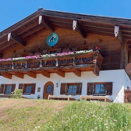Haus Obweg - Postalm Apart otel Hallein Dış mekan fotoğraf