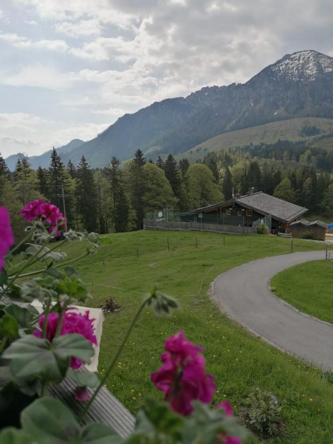 Haus Obweg - Postalm Apart otel Hallein Dış mekan fotoğraf